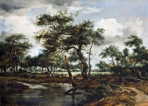 A Pond in the Forest, 1668 (olie på egetræspanel)