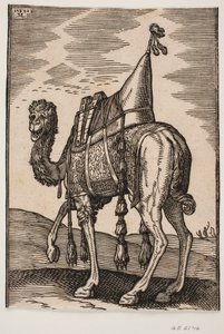 En opsadlet kamel af Melchior Lorck