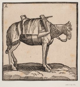 En opsadlet bærehest af Melchior Lorck