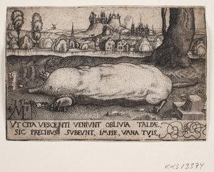 Muldvarpen af Melchior Lorck