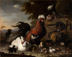 Fred i hønsegården af Melchior de Hondecoeter
