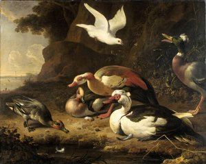 Ænder af Melchior de Hondecoeter