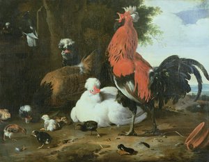 Gårdshøns med duer af Melchior de Hondecoeter