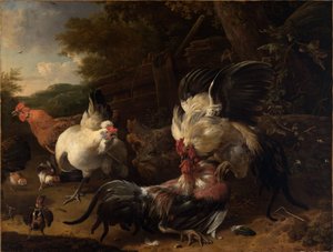 Kæmpende haner af Melchior de Hondecoeter
