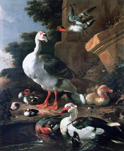 Vandfugle i et klassisk landskab, 1600-tallet af Melchior de Hondecoeter