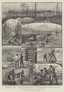 Denison Gold-Mines, nær Algoma, Lake Huron, Upper Canada af Melton Prior