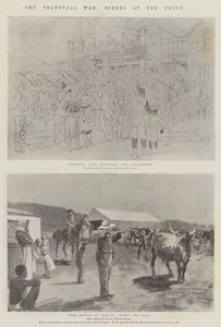 Transvaal-krigen, scener fra fronten