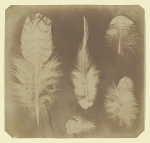 Kyllingefjer, ca. 1840. af Mervyn Herbert Nevil Story Maskelyne