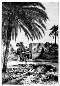 En gade i Biskra, Algeriet, 1895.