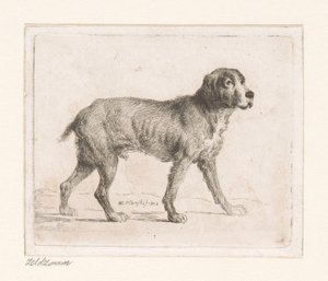 Hund af Michał Płoński