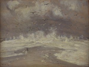 Surf ved den jyske nordkyst