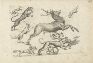 Studieark med tegningseksempler: forskellige dyr af Michael Snijders (attributed to)
