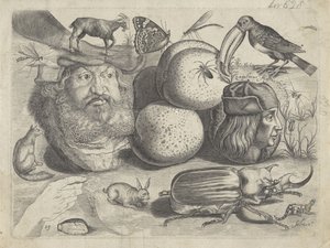 Studieark med tegningseksempler: portrætter, dyr, insekter Tegningseksempler (serietitel) af Michael Snijders