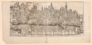 Nürnbergkrøniken: Topografisk udsigt over Basel, Schweiz