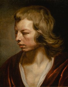 Studie af en dreng af Michaelina Wautier