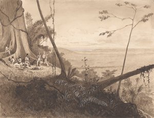 Cedar Point, Mount Tamana