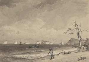Los Gallos, Icacos Bay