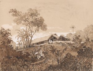 The Cottage, Mount Tamana