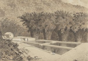 Reservoaret ved Maraval af Michel Jean Cazabon