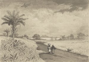 Vejen til Pitch Lake