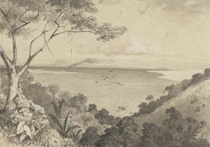 Udsigt fra Laventille Hill af Michel Jean Cazabon