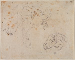 Kopi fra den sidste dom af Michelangelo (after) Buonarroti