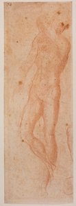 Studier af nøgne mænd af Michelangelo (after) Buonarroti