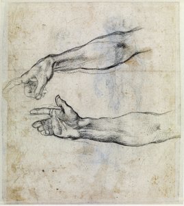 "Armdetaljer" af Michelangelo Buonarroti