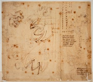 Autografstudier og optællinger af Michelangelo Buonarroti
