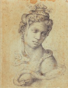 Kleopatra af Michelangelo Buonarroti