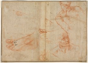 Figurstudier til det sixtinske loft (verso) af Michelangelo Buonarroti