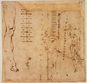 Figurstudier af Michelangelo Buonarroti