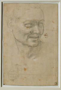 Hoved og højre hånd af Ignudo over og til venstre for Esajas af Michelangelo Buonarroti