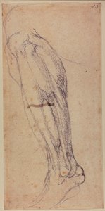 Undersøgelse af ben af Michelangelo Buonarroti