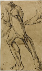 Ben og fødder af mandlige nøgen af Michelangelo Buonarroti
