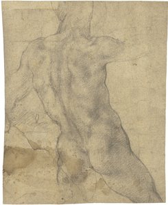 Mand nøgen af Michelangelo Buonarroti