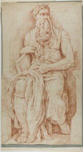 Moses af Michelangelo Buonarroti