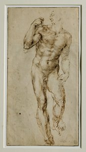 Mandlig nøgen, set forfra, ca. 1502-1506 ... af Michelangelo Buonarroti
