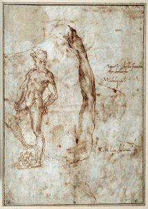 Nøgenstudie. Michelangelo Buonarroti dit Michelangelo (Michelangelo eller Michel Ange af Michelangelo Buonarroti