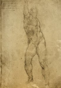 Nøgenstudie, tegning af Michelangelo. Gallerie dellAccademia, Venedig af Michelangelo Buonarroti