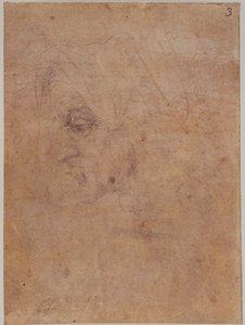 Profil af en gammel kvinde af Michelangelo Buonarroti