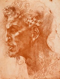 Satyrs hoved; tegning af Michelangelo. Louvre, Paris af Michelangelo Buonarroti