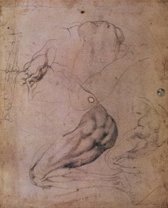 Det sixtinske kapel loft (1508-12): skitser af Evas skikkelse fra scenen med Den oprindelige synd (kul på papir) af Michelangelo Buonarroti