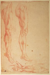 Studier af ben og arme (rødt kridt på papir) af Michelangelo Buonarroti