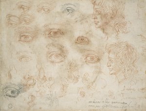 Studies of Two Heads, ca. 1525 (kridt på papir) af Michelangelo Buonarroti