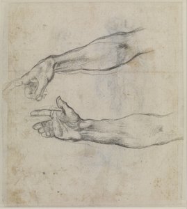 Studier af en udstrakt arm til freskoen "Noahs beruselse" i Det Sixtinske Kapel, ca. 1508-09 (sort kridt på papir) af Michelangelo Buonarroti