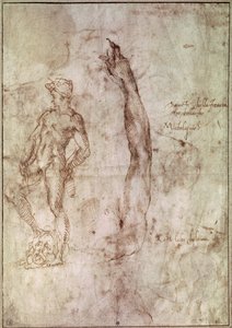 Studie til David (pen og blæk på papir) af Michelangelo Buonarroti
