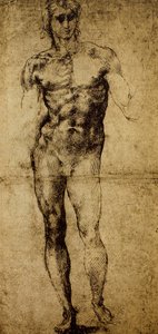 Studie for en mandlig nøgen, Michelangelo Buonarroti (1475-1564), tegning, Paris, Louvre-museet