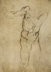Studie til en maskulin buste, tegning af Michelangelo. Casa Buonarroti, Firenze af Michelangelo Buonarroti