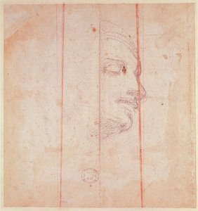 Studie til lederen af den libyske sibyll (sort kridt på papir) (verso) af Michelangelo Buonarroti
